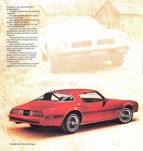 1976 Pontiac Firebird-02.jpg